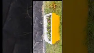 ചെറിയ സ്ഥലത്തും മനോഹരമാ ഗാർഡൻ ഡെക്കർ | Easy Garden Decoration Ideas Malayalam#shorts#youtubeshorts