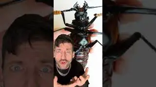 Эта штука СТРАШНАЯ! 👀 #забавныйфакт