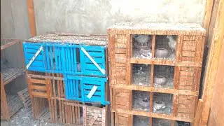 رجعنا تاني لا نش التماسي🔥🔥🚀