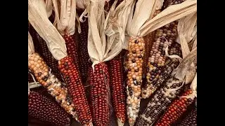 Sermon 'Thanksgiving Shouts' 11/23/2025 (Live Stream)