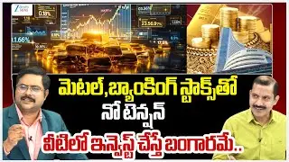 Amperayani Seshu About Best Stock To Buy | Metals | Banking | #dnawithbharath | ZEE Telugu News