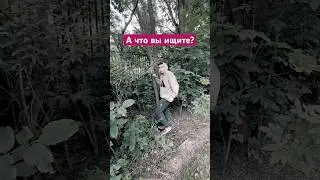 О вечном 😇 #nature #comedy #юмор #прак #философия #funny #прикол #таро #судьба #молодость #поиск