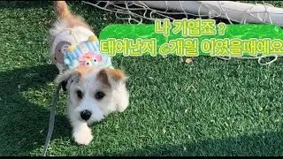23주차 리복동마미와 오구왕자의 2026년