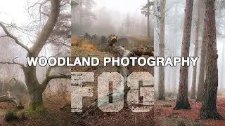 Atmospheric Fog Woodland & Cityscape Photography with Camera techniques