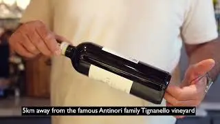P&egrave;ppoli, Antinori | Chianti Classico DOCG 2020