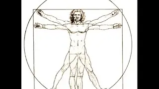 introduction to Human Anatomy