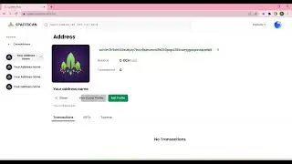 How to Claim and Personalize Your Chia Address in SpaceScan