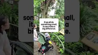 Raintree adoption at Mandai Wildlife Reserve!
