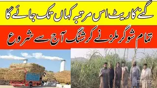 Shugarmil meetings information today 2024-25/local farmers