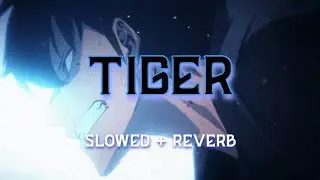637godwin - tiger (slowed + reverb)