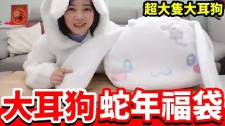 2025三麗鷗「大耳狗福袋」超大隻大耳狗，第一次買服飾福袋!!!日本福袋系列【毆睨Oni】
