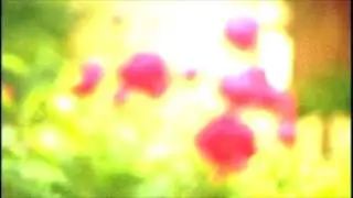 Places With Faces - The Trip
