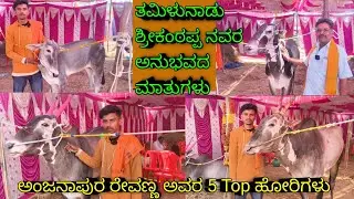 ಅಂಜನಾಪುರ ರೇವಣ್ಣ ಅವರ 5 Top ಹೋರಿಗಳು | #topquality #hallikar #hallikarstudbull #viral #trending #cow