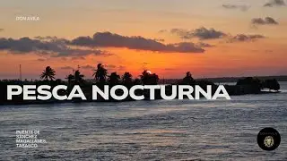 PESCA NOCTURNA EN EL PUENTE DE MAGALLANES