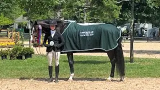 Upperville 3'3