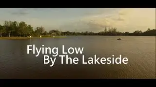 Flying Low Over The Lakeside