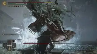 ELDEN RING Divine beast dancing lion boss fight Uchigatana Nagakiba no tear / allies