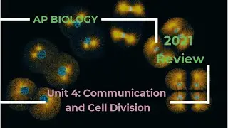 AP Biology Unit 4 Review 2020