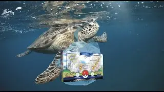 Pok&eacute;mon GO PTCGO Release Day Extravaganza