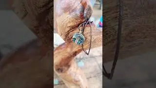 This is Arte R&uacute;stico Sudcaliforniano: Dijes Hechos de Conchas De Abulon del Pac&iacute;fico y Madre Perla🦪