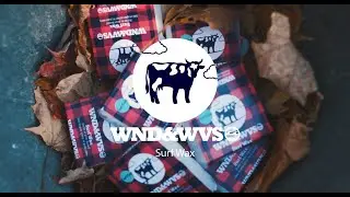 Surf Wax Stickier Than Syrup