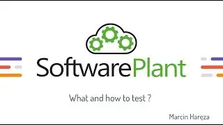 What and how to test? Software testing tutorial
