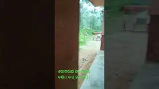 Heavy rainfall/Viral video/Vlog video