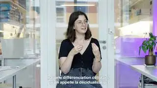 Camille Berthelot | Impulscience 2025