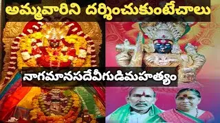 దక్షిణహరిద్వార్ గాపేరు గాంచిన నాగశక్తి శ్రీమానసదేవి అమ్మవారి ఆలయం చీపురుపల్లి(vizianagaram) 🌺🙏🌺🙏🌺🙏🌷🌺