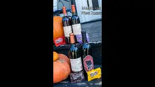 M&Ms and Wine Flight #shorts