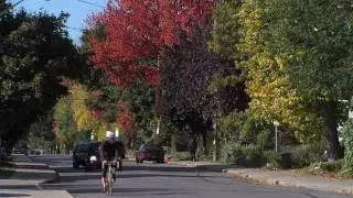 The Glebe - Ottawa - Picture it. Downtown.