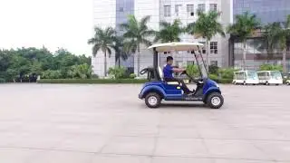 Marshell 2 seater Electric Golf Cart