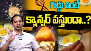 గుడ్డు తింటే క్యాన్సర్ వస్తుందా..?వాస్తవాలు తెలుసుకోండి|Eating eggs cause cancer?| Dr. Ramu Damuluri