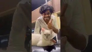 MY NEW FRIEND&hearts;️🐱#telugu #teluguvlogs #cats #funnycats #cutecat #funny #vsavlogs #vlog #yt #shorts