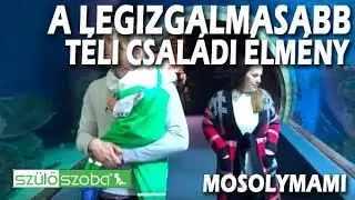 Hoppá! Megtaláltuk a legizgalmasabb téli családi élményt!#MosolyMami 4 | Szülőszoba#KandászMamik 128