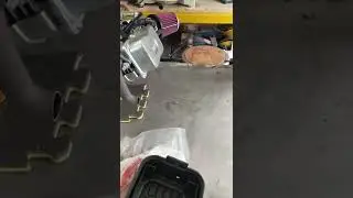 Predator 301cc With Intake and Jet Kit