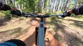 Tingles...Pemberton MTB 