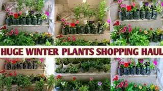 HUGE WINTER PLANTS SHOPPING HAUL | WINTER PLANTS NAMES AND THEIR PRICES 🌹🌸