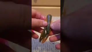 2.96 YUM crawbug