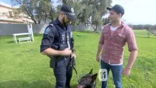 SA Police Dog Operations Unit training as filmed by Totally Wild