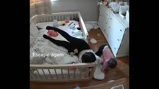 Do you struggle with your toddler&rsquo;s nap routine?