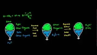 Purifying Amines Using Their Salts