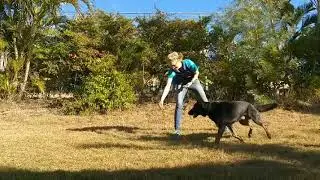 Treat chase game for building food drive