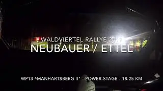Hermann Neubauer (Ford Fiesta WRC) Onboard - Rallye Waldviertel 2017