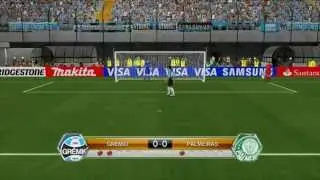 UNA PARTITA INDEGNA - IGNORANZA SU PES 2014