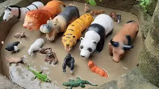Animais de Plástico Presos na Lama Orangotango Caracal Antílope Órix Pantera Negra Gorila Canguru