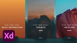 Redesigned Plugin Manager &ndash; Adobe XD November Release 2019 | Adobe Creative Cloud