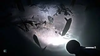 THE LONG DARK: Ash Canyon Memento Notes
