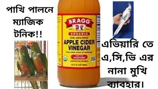 Best Use Of (ACV) Apple Cider Vinegar At Your Bird Aviary. #Macaw #cockatiel #Sunconure #Parrot