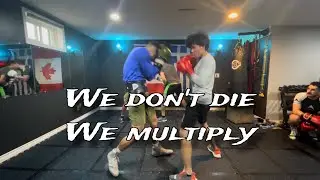 Dawg House Sparring Day